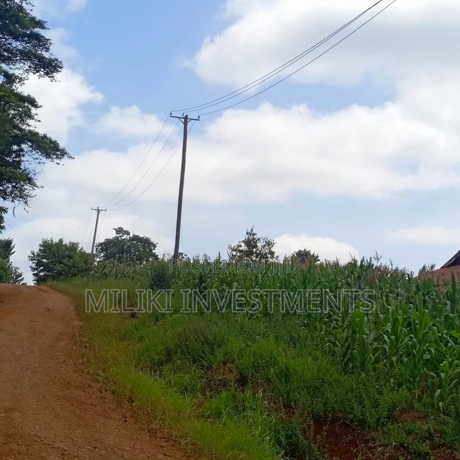 2 Acres for Sale at Nkubu-Mitunguu
