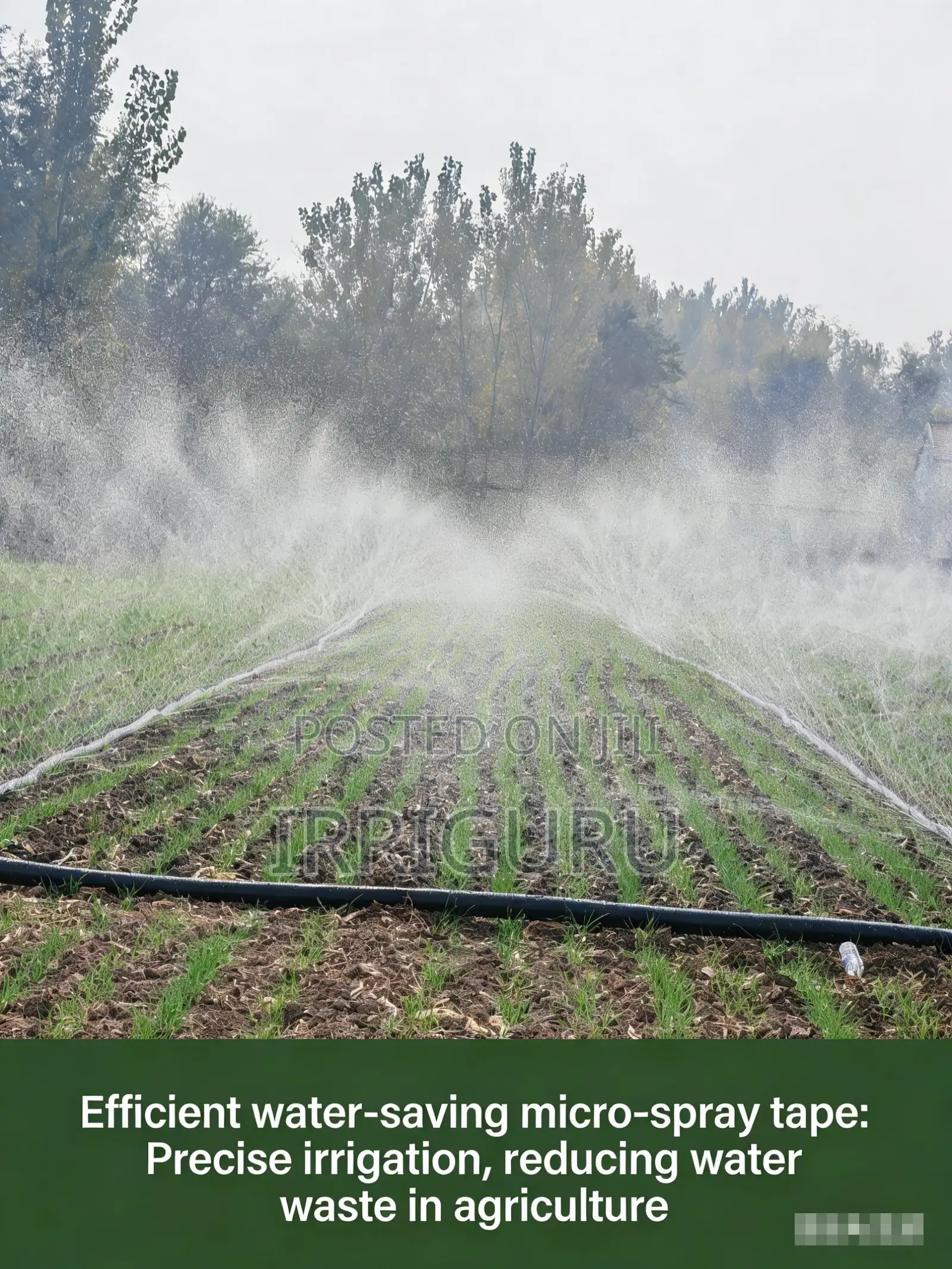 Complements Drip Irrigation: Ideal for a Wider Range of Crops.