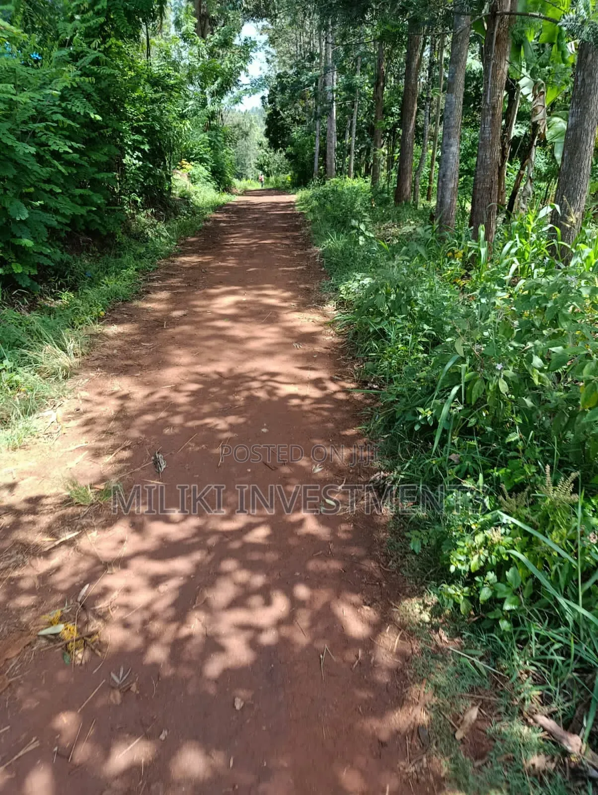 Half an Acre on Sale at Makuyu-Mihang'o