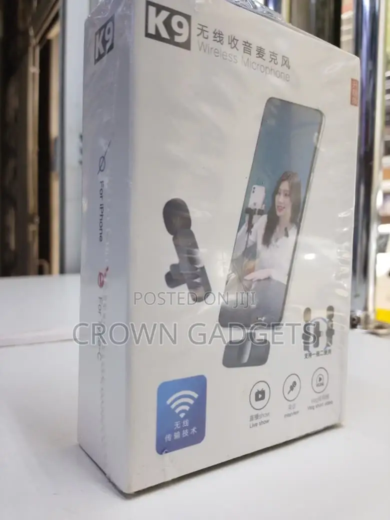 Wireless Audio Microphone One-to-Two System