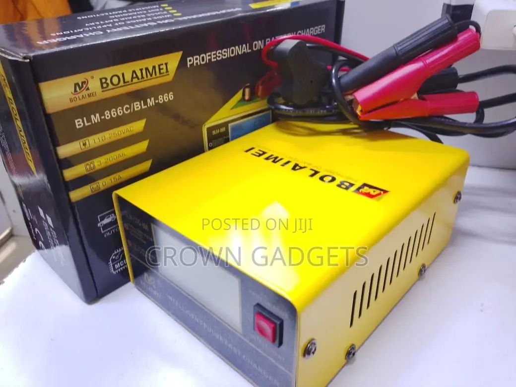 Automatic Pulse Repair Battery Charger