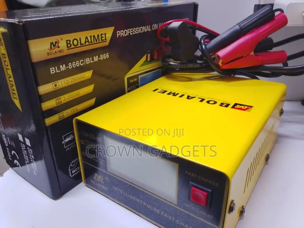 Professional Smart Battery Charger 110–250v
