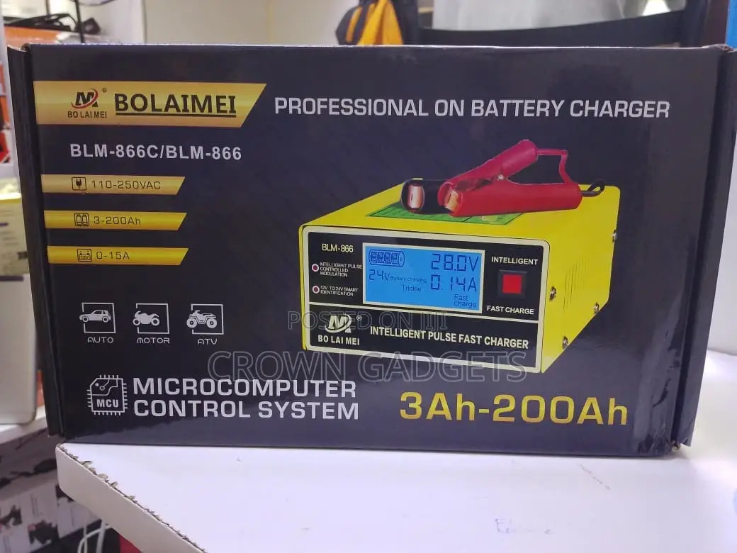 Professional Smart Battery Charger 110–250v