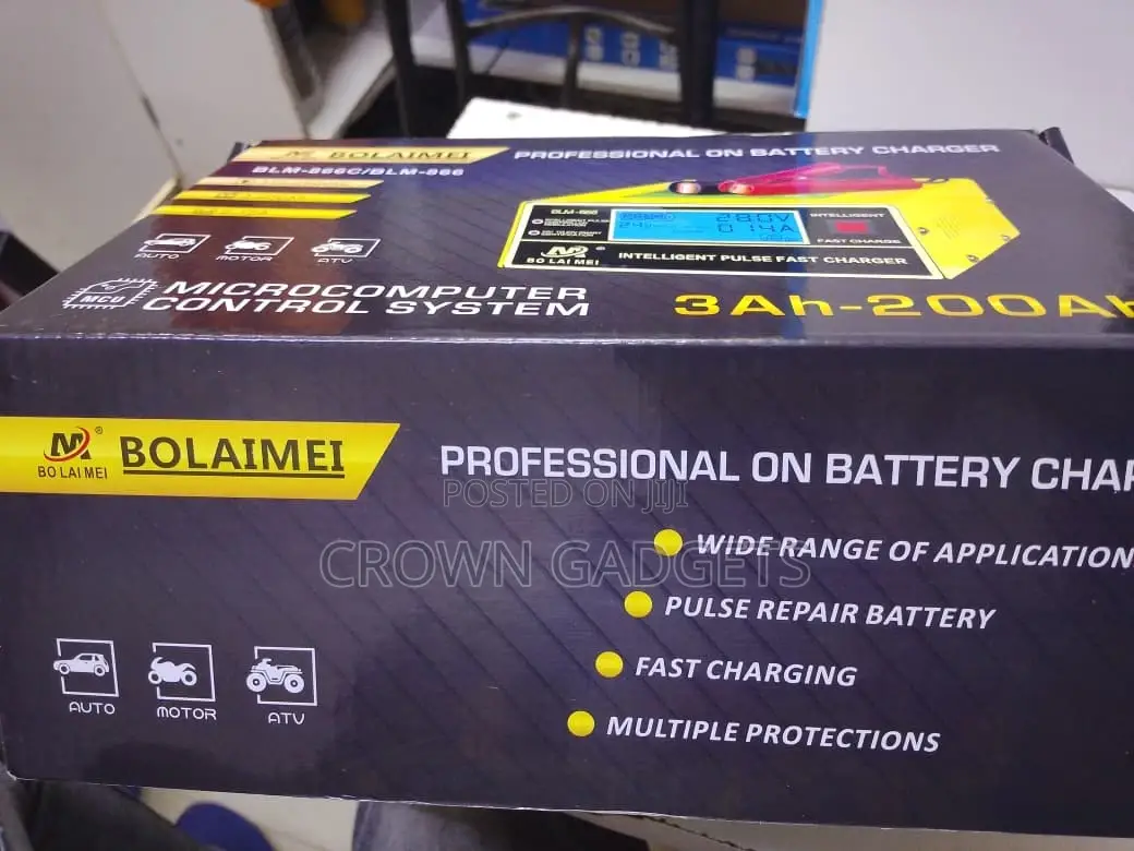 Professional Smart Battery Charger 110–250v