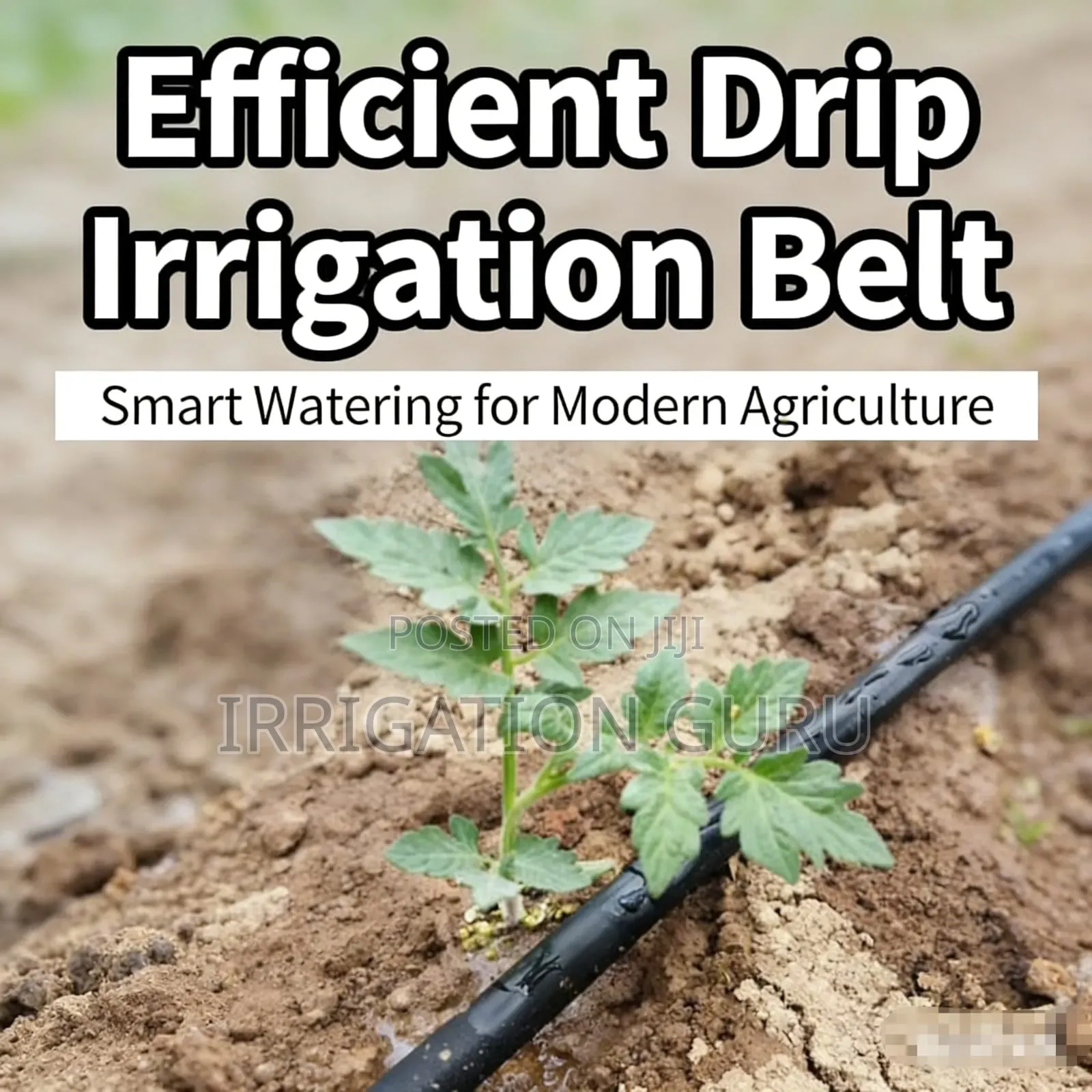 Water Droplets to the Root