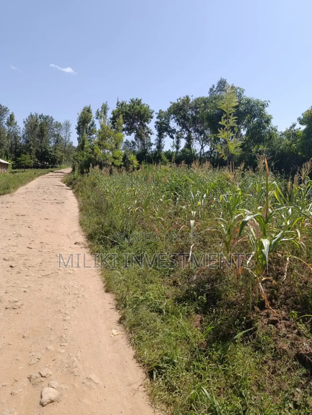1.75 Acres on Sale at Makuyu