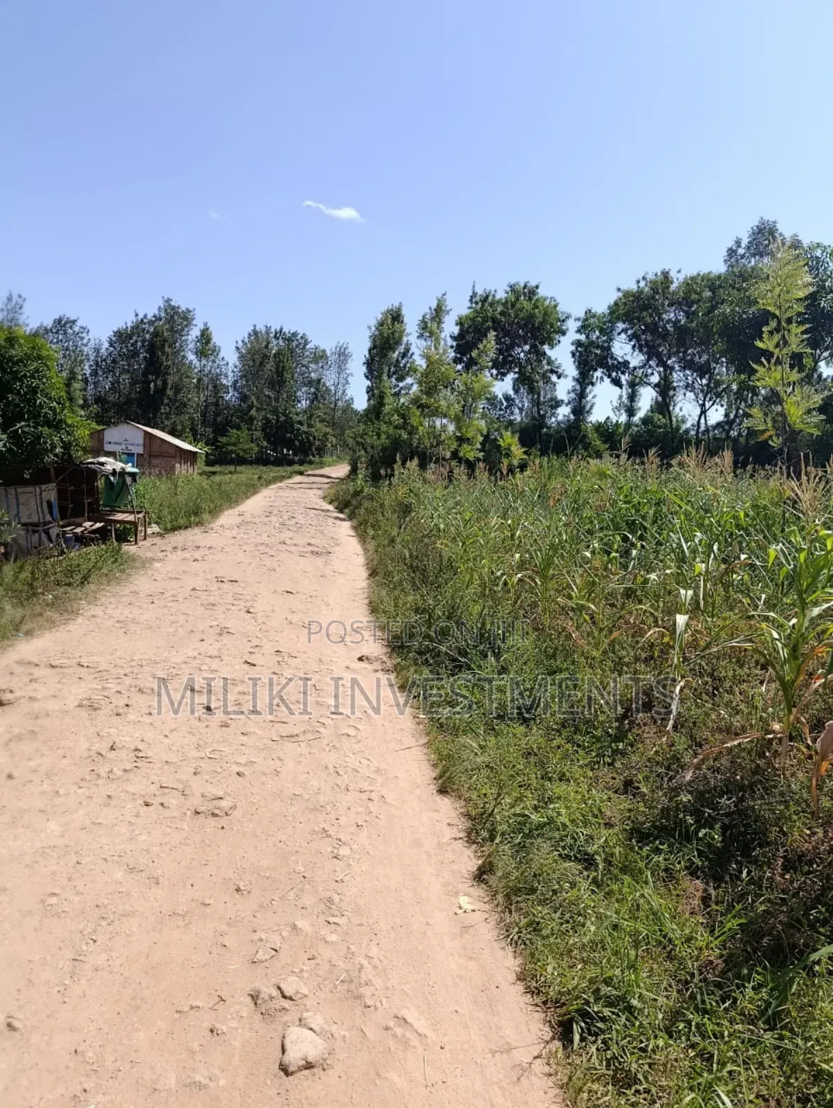 1.75 Acres on Sale at Makuyu
