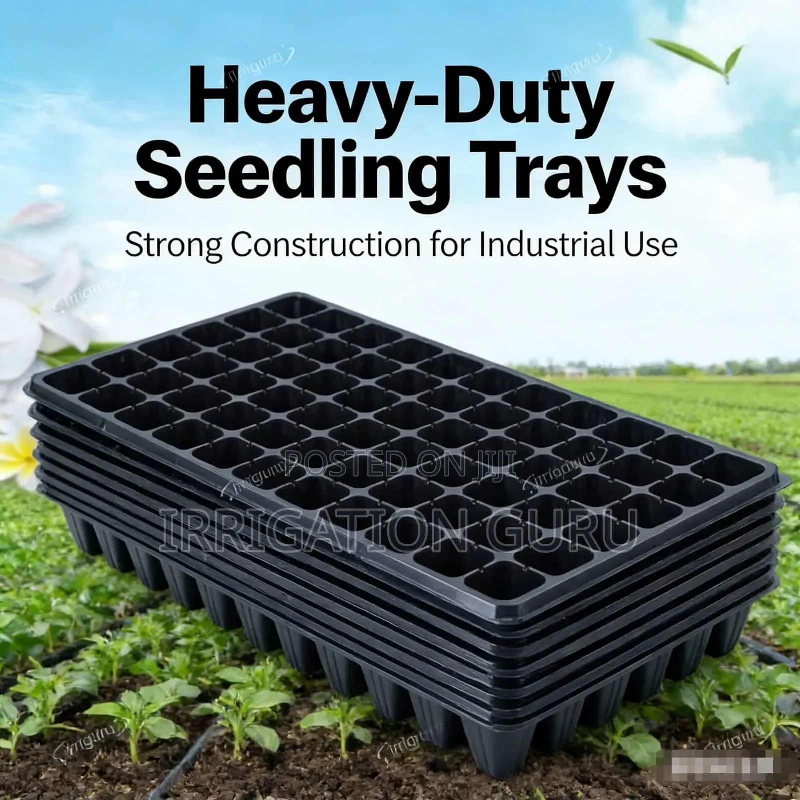 Spinach Tray For Farming