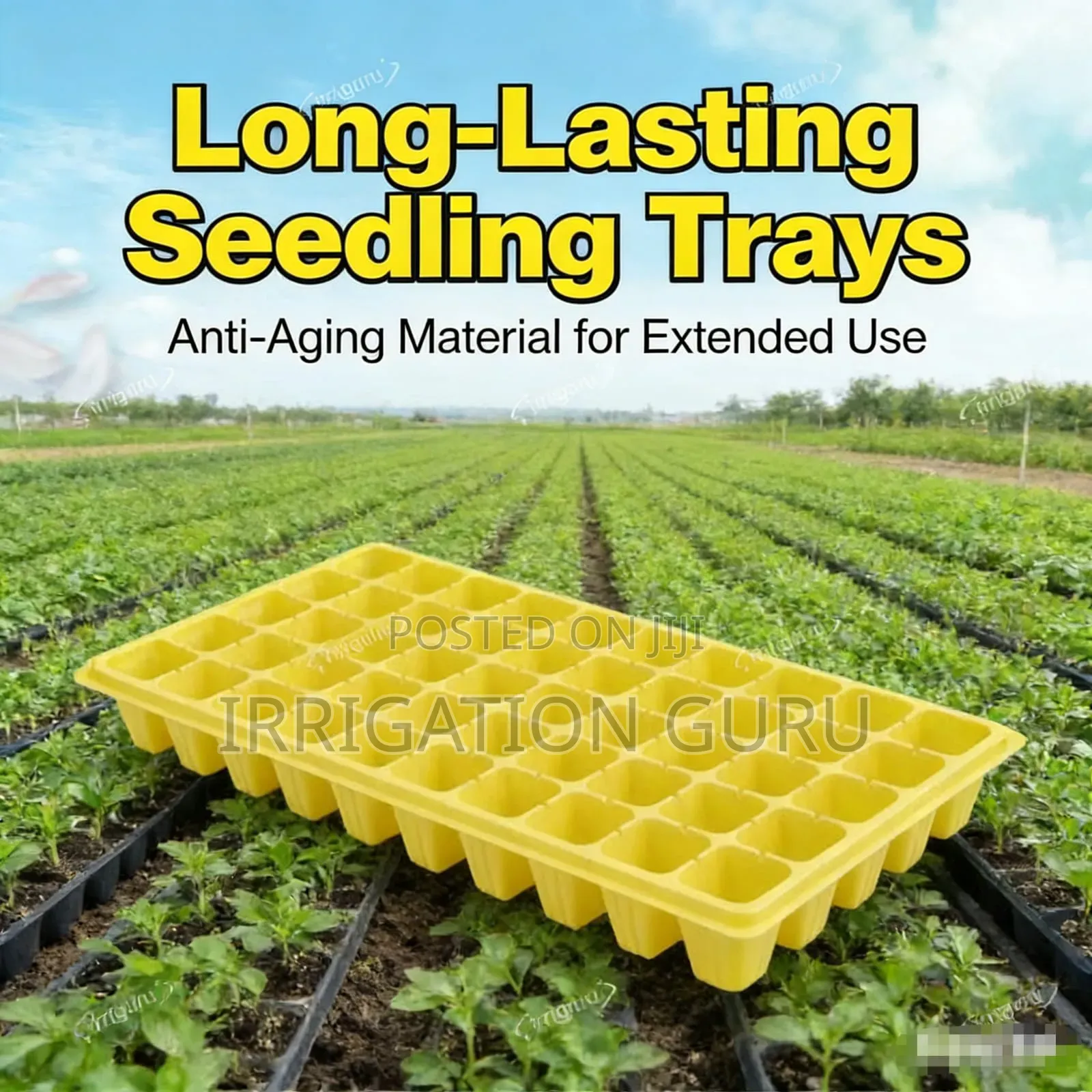 Seedling Trays For Melon Seeds