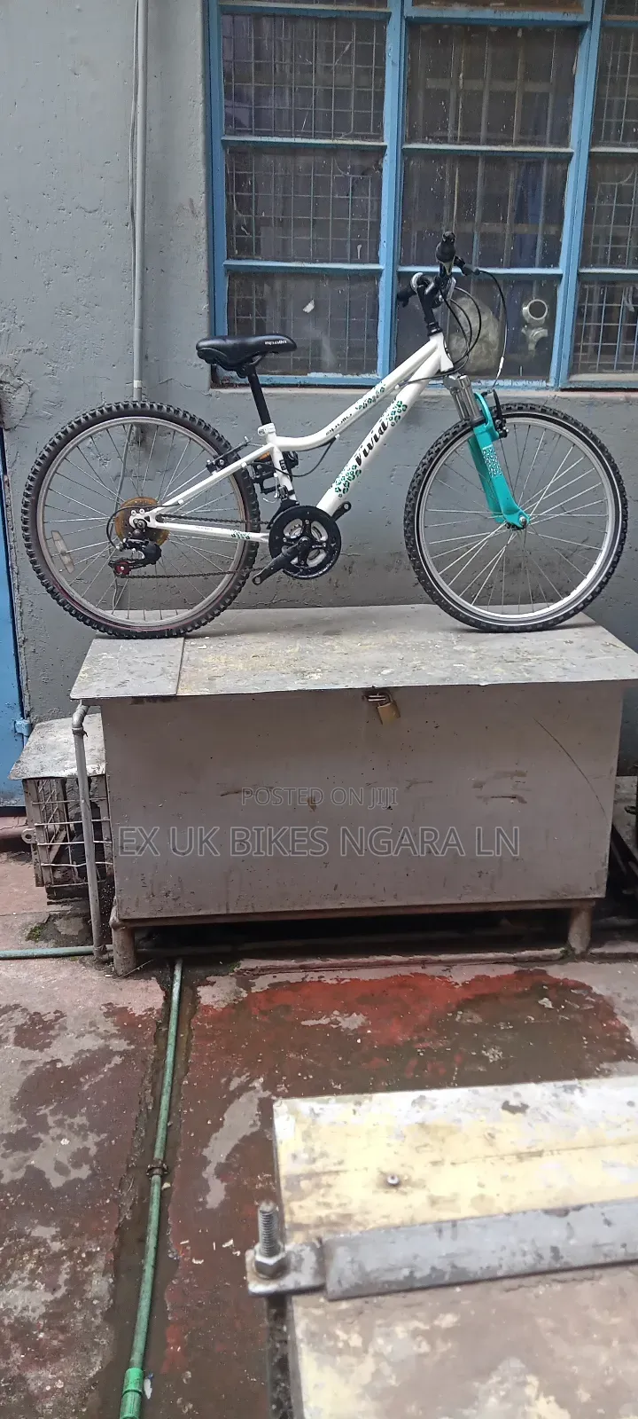 Ex Uk Size 24 Apollo Bicycle for 7-10 Yr Old