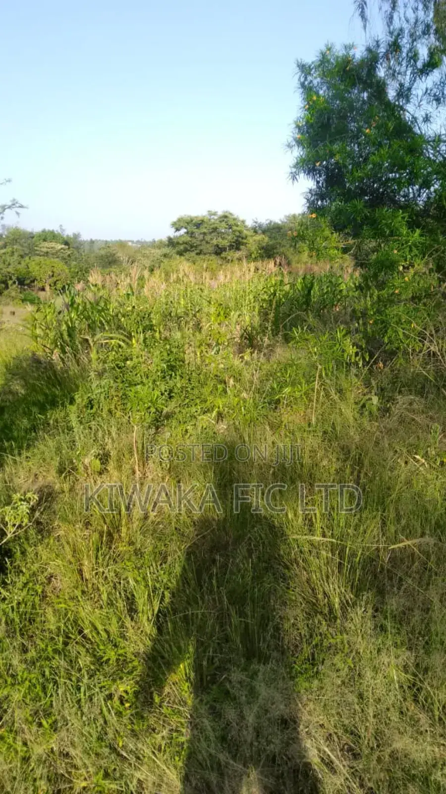 3 Acres in Kambiti