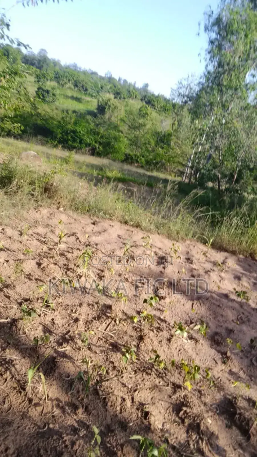 3 Acres in Kambiti