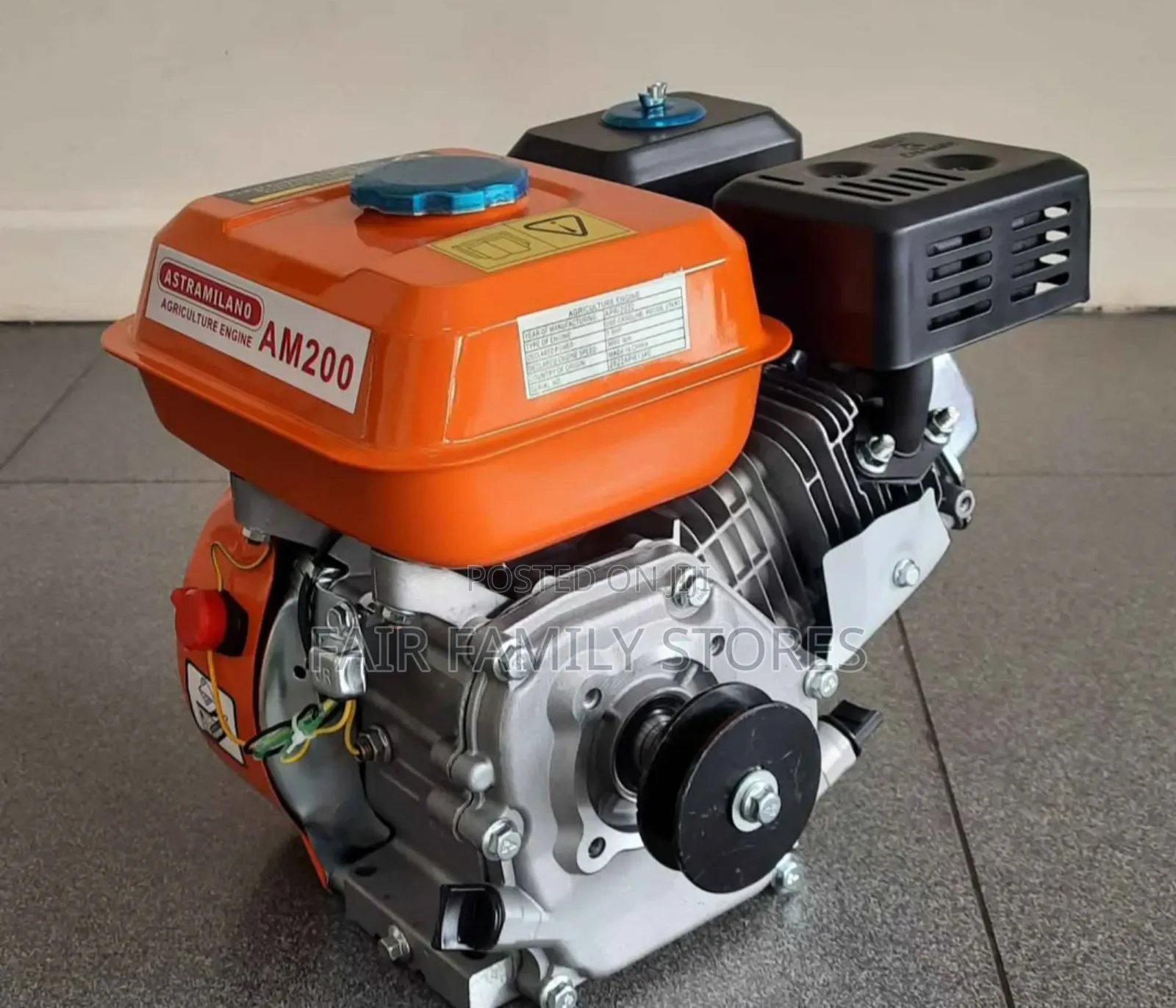Milano Gasoline/Petrol Engine 8 Hp