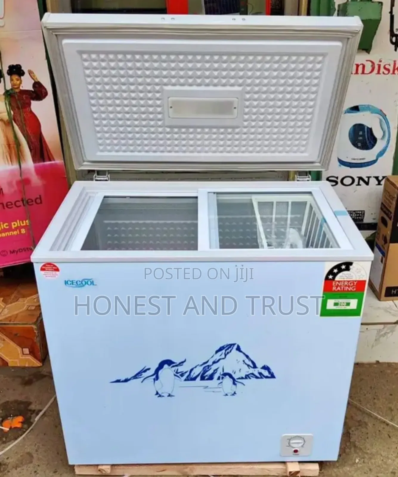 169litres Deep Freezer Ecomax