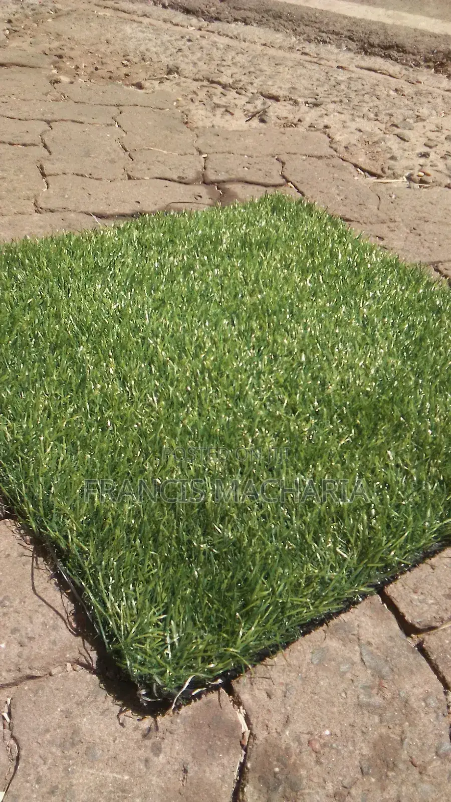 Easy Maintenance Grass Capet