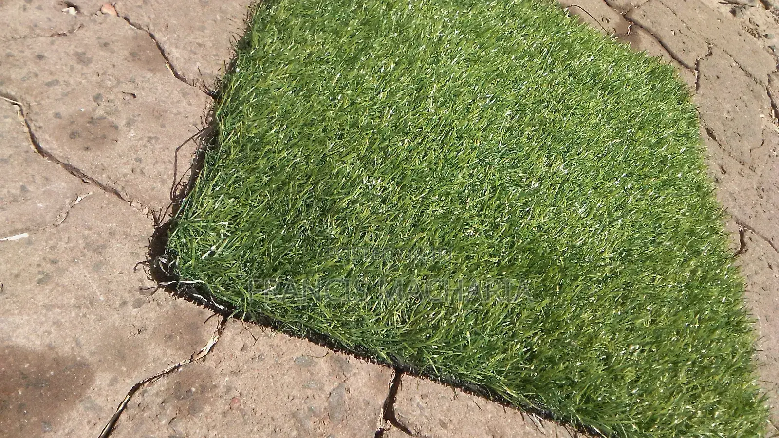 Easy Maintenance Grass Capet