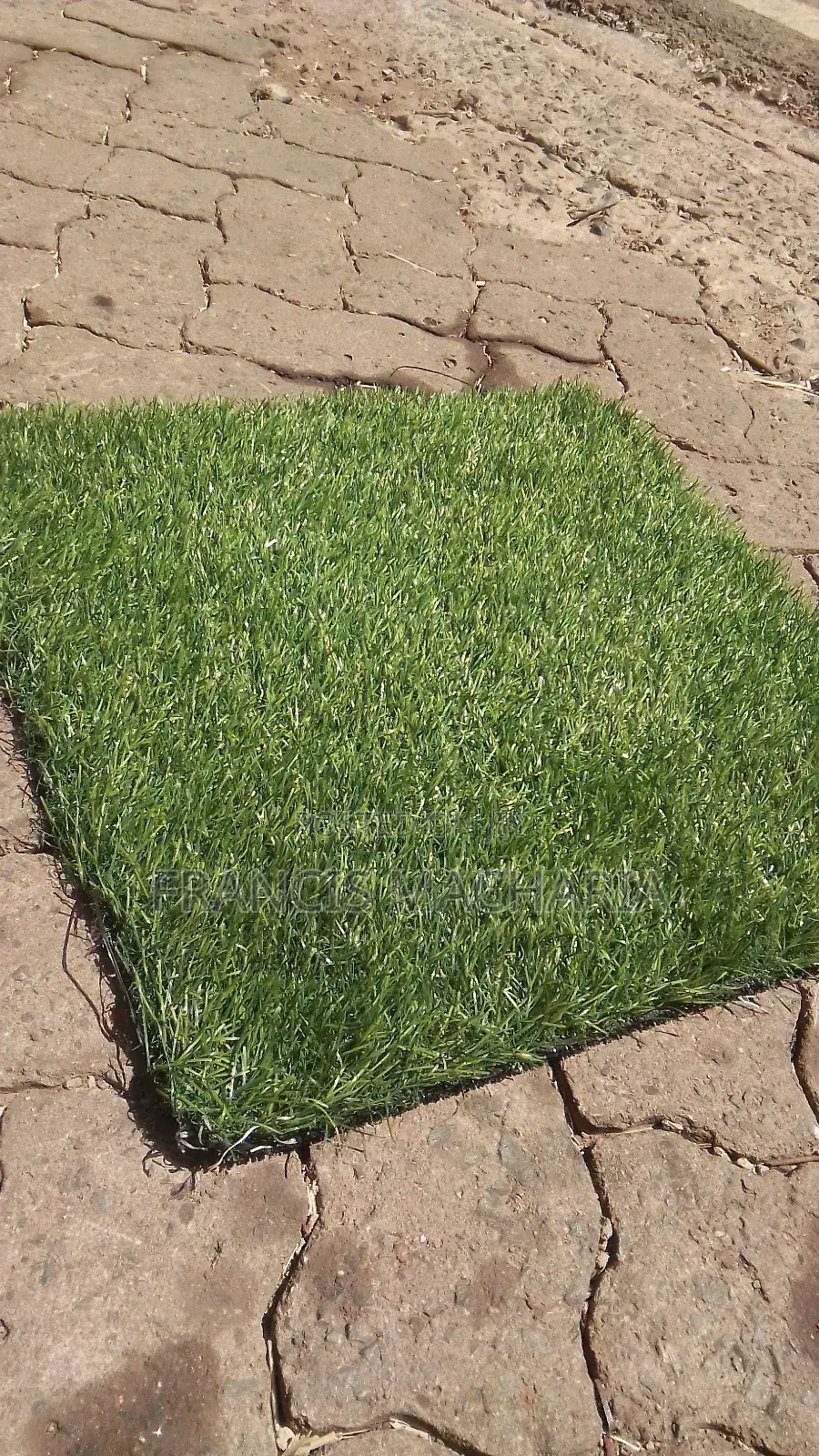 Arabic Grass Capet