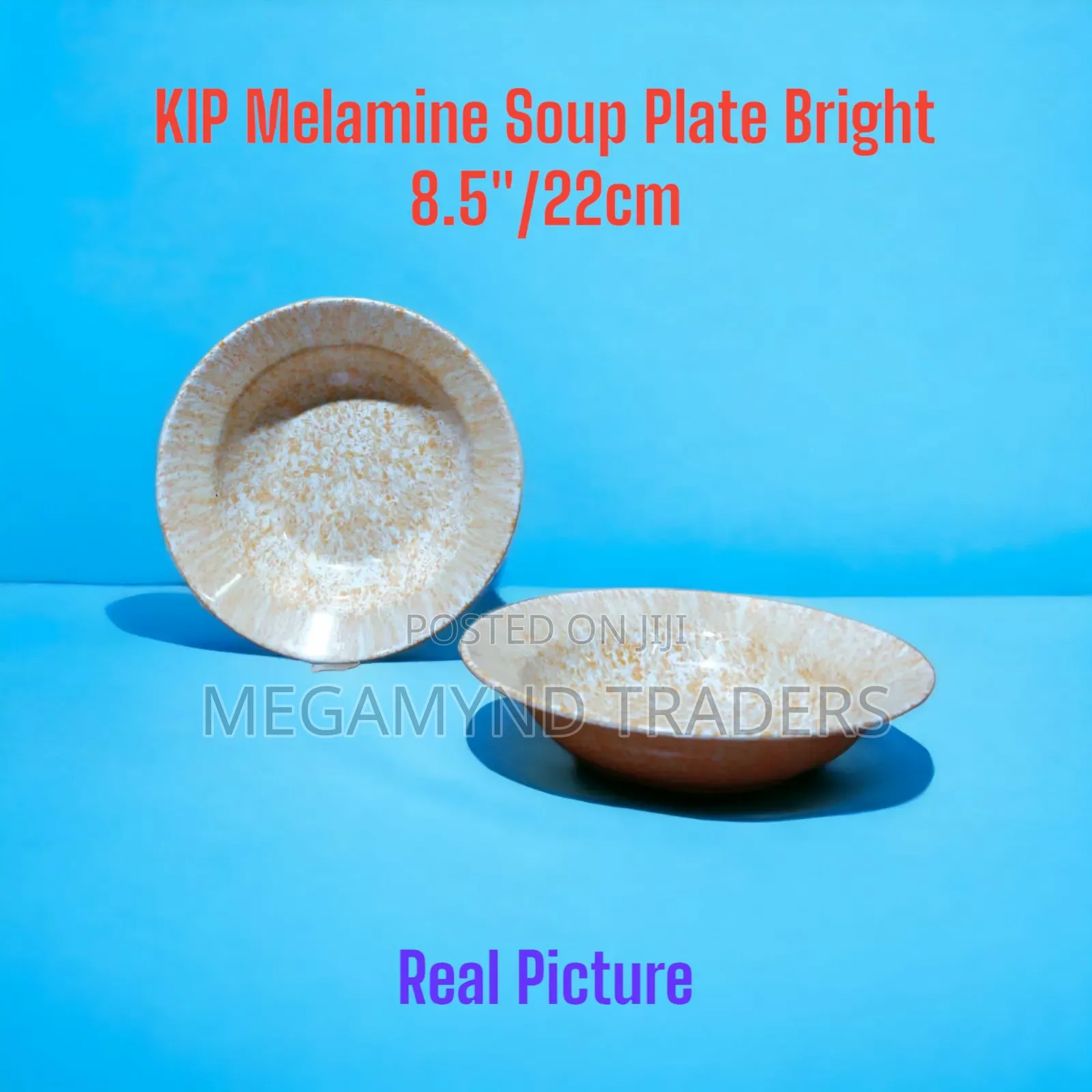 Kip Melamine Plates 6pc /School Plate 22cm