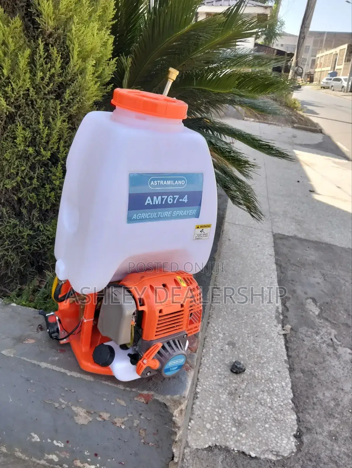 Agriculture Sprayer/ Knapsack Sprayer