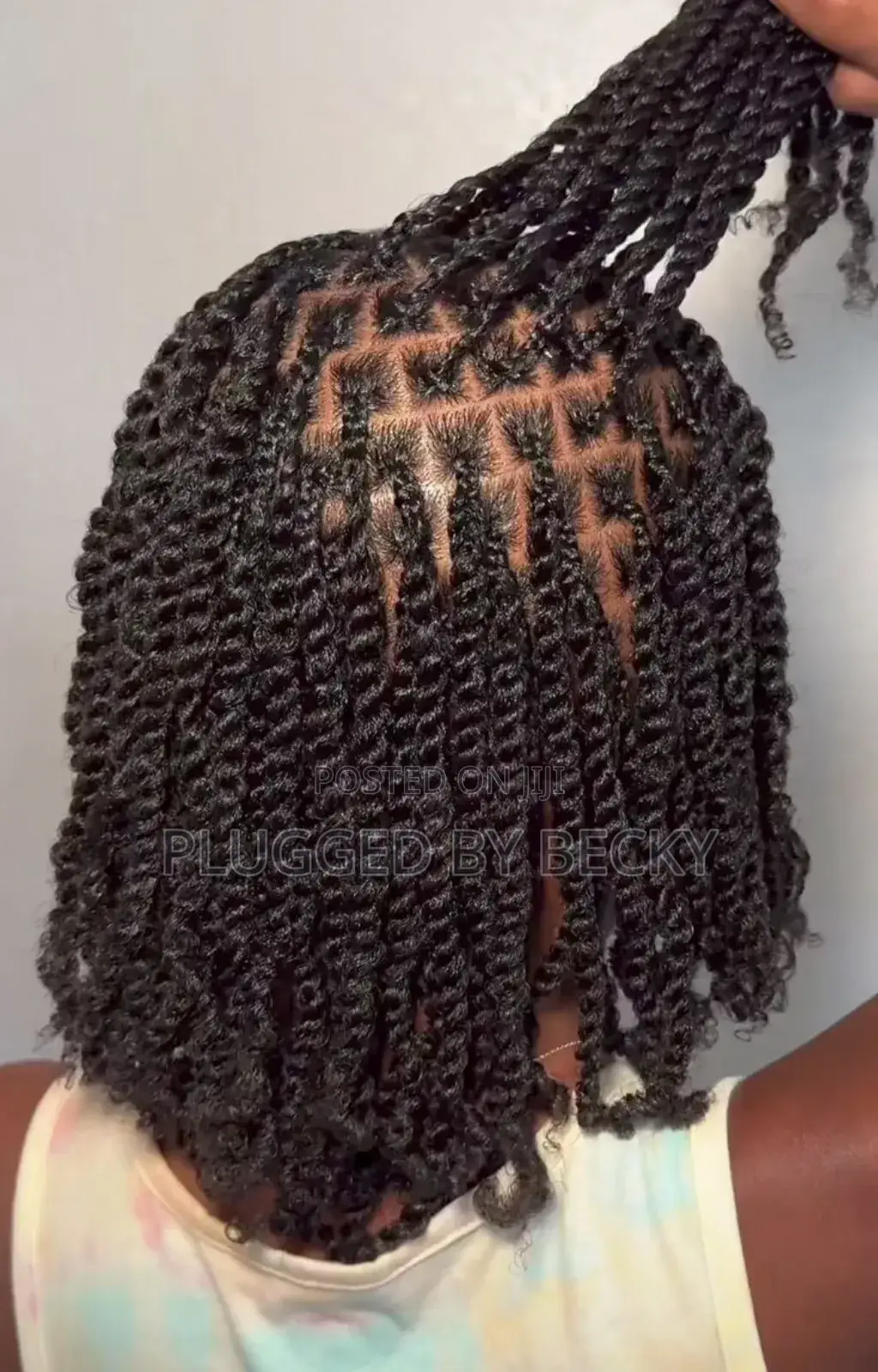 Mini Twists