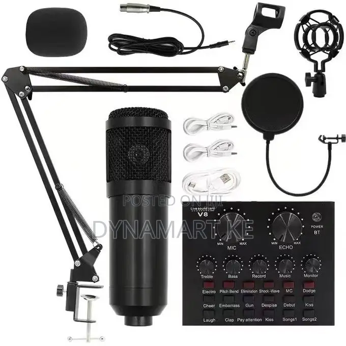 Bm800 Condenser Microphone + V8 Sound Card Audio Effects + Stand