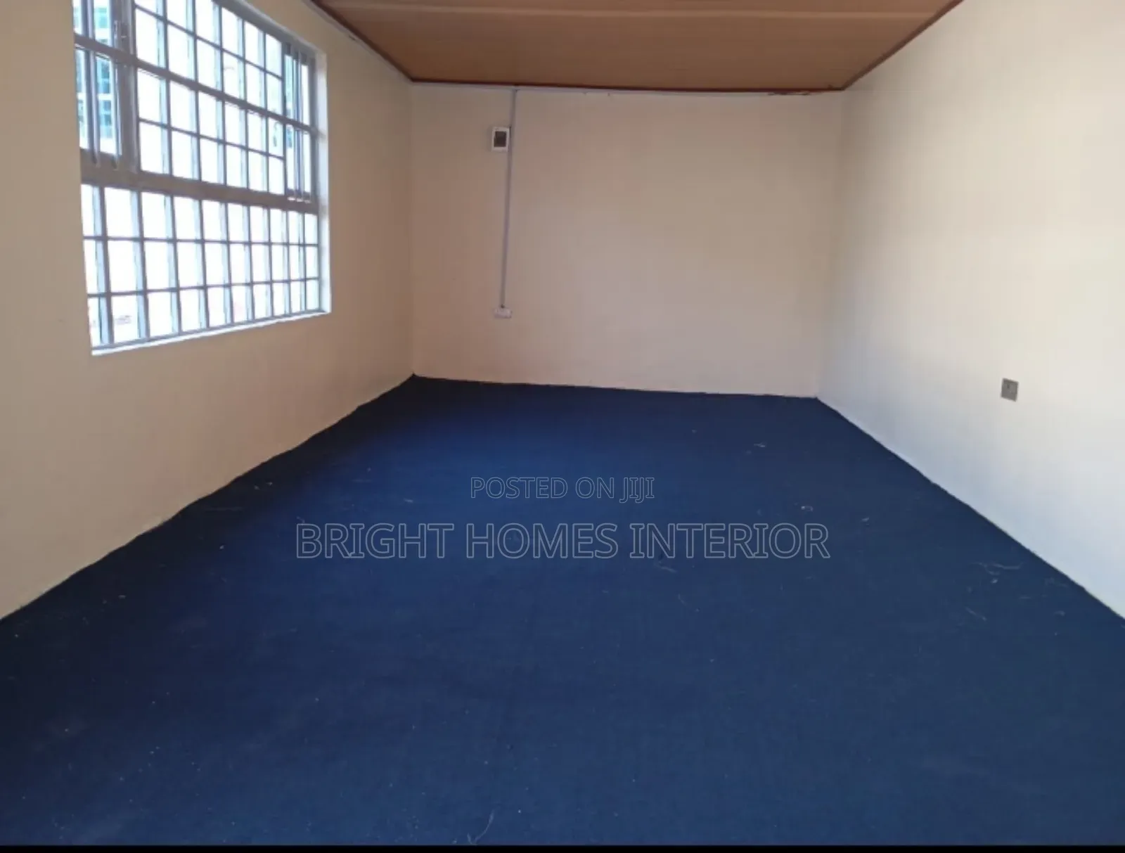 Best Quality Navy Blue Delta Office Carpet