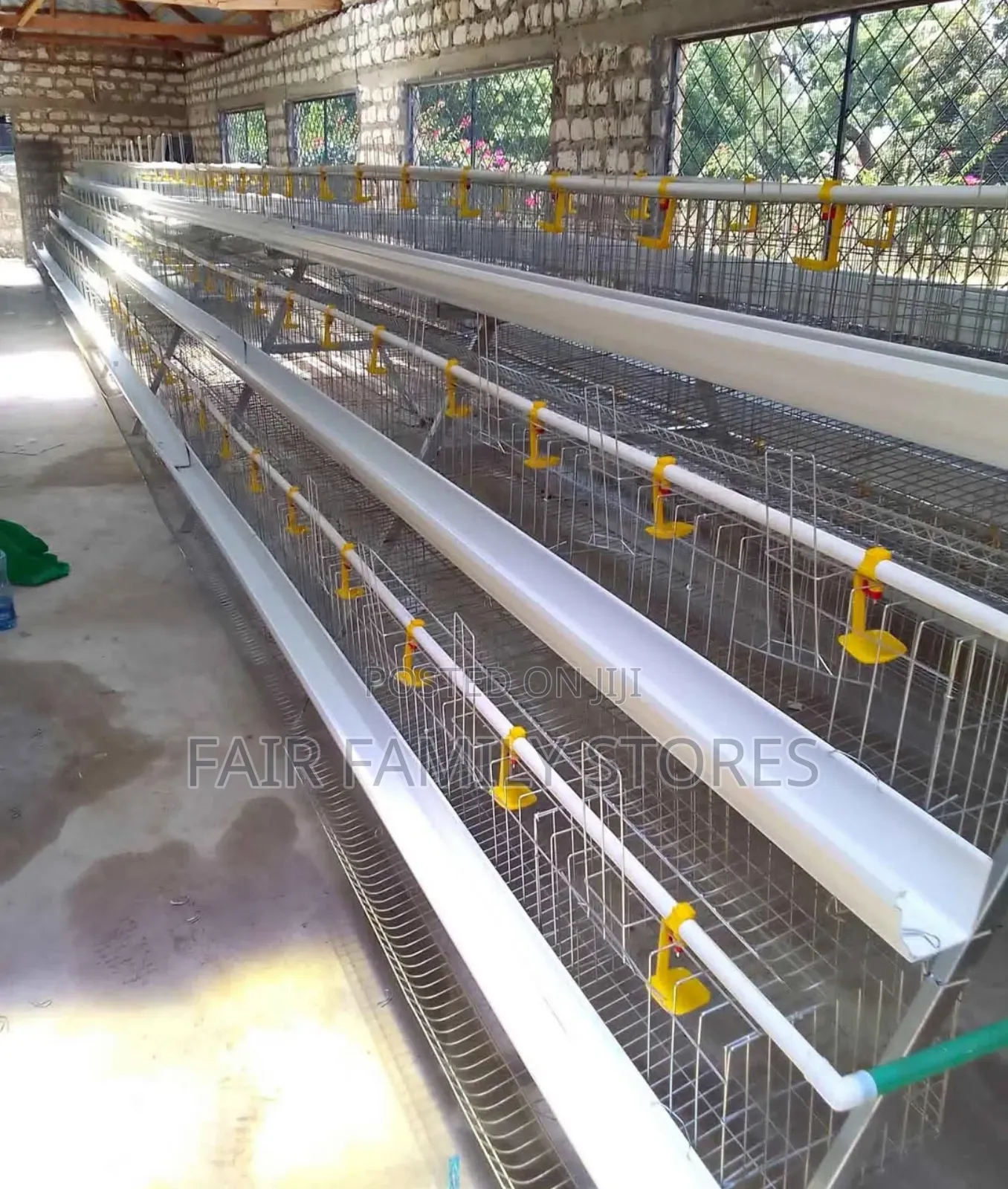 Chicken Cages For 128 Birds,Comes With An Automatic