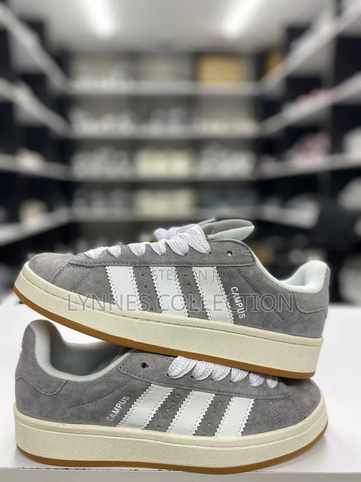 Adidas Campus Multicolor , Campus Sizes 36-45