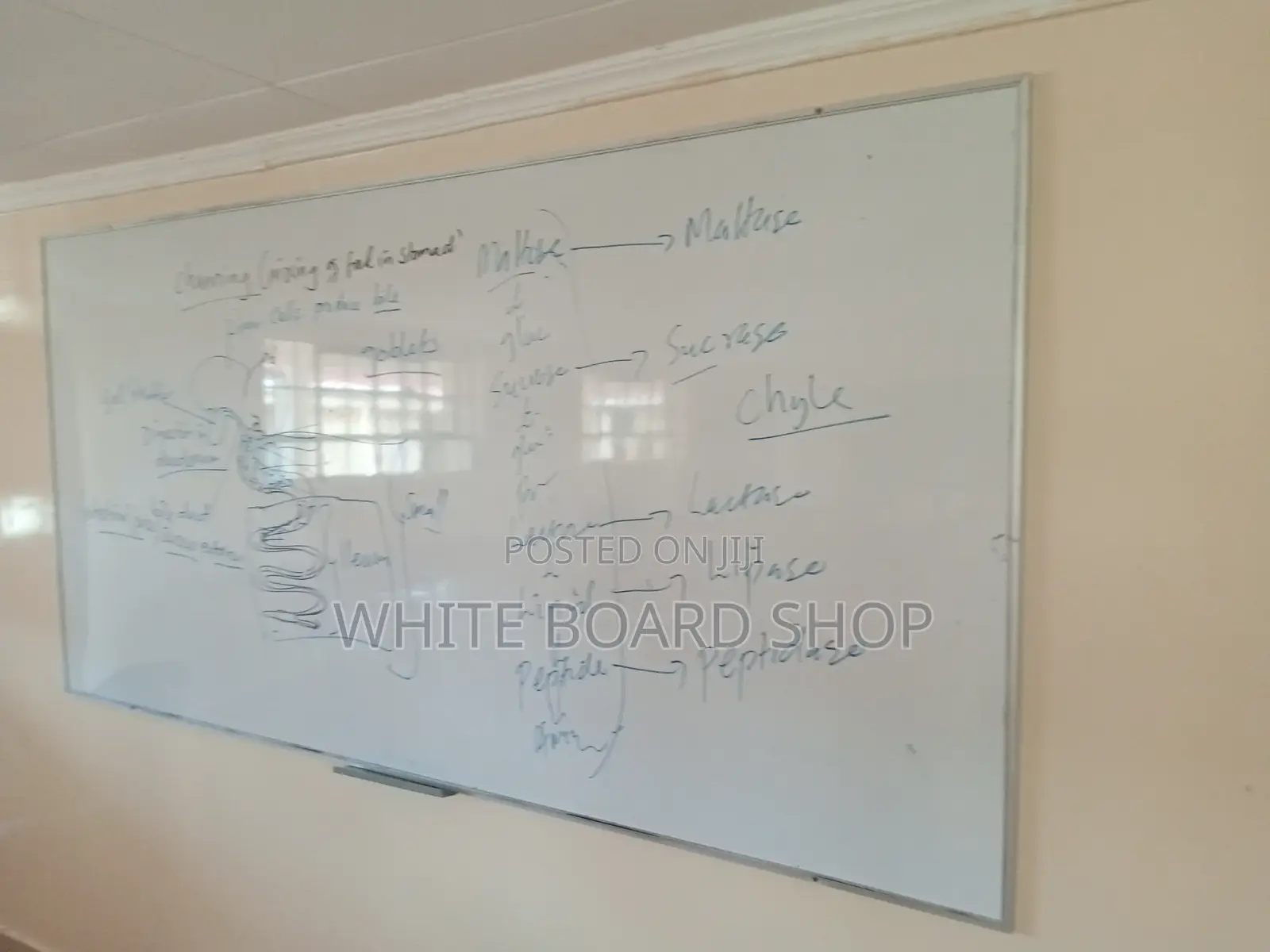 High Quality Campus Boards 8ft X 4ft