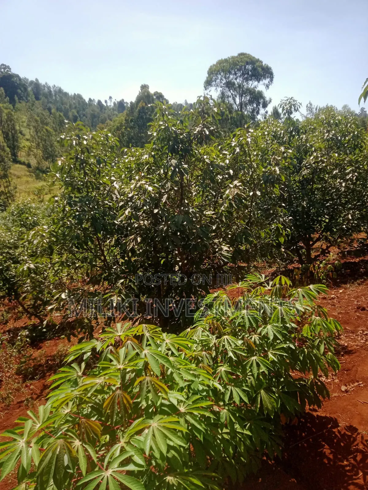 1 Acre on Sale at Kabati-Kagunduini