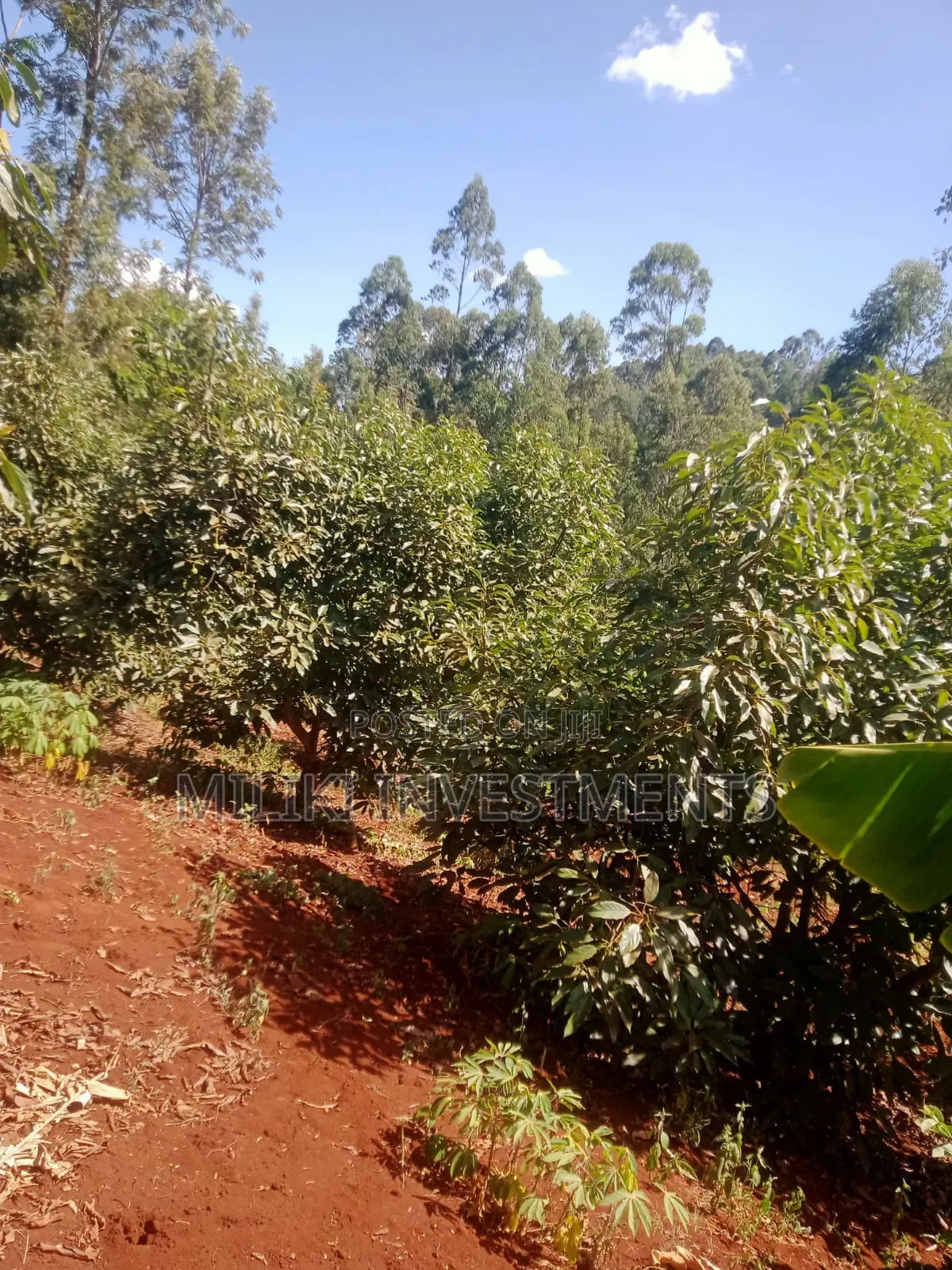 1 Acre on Sale at Kabati-Kagunduini