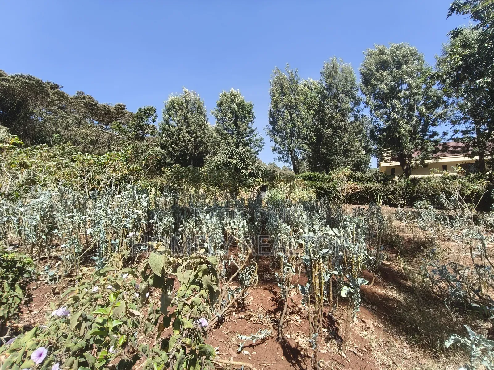 Quarter Acre Corner Plot on Sale in Kerarapon Drive. Residential Land