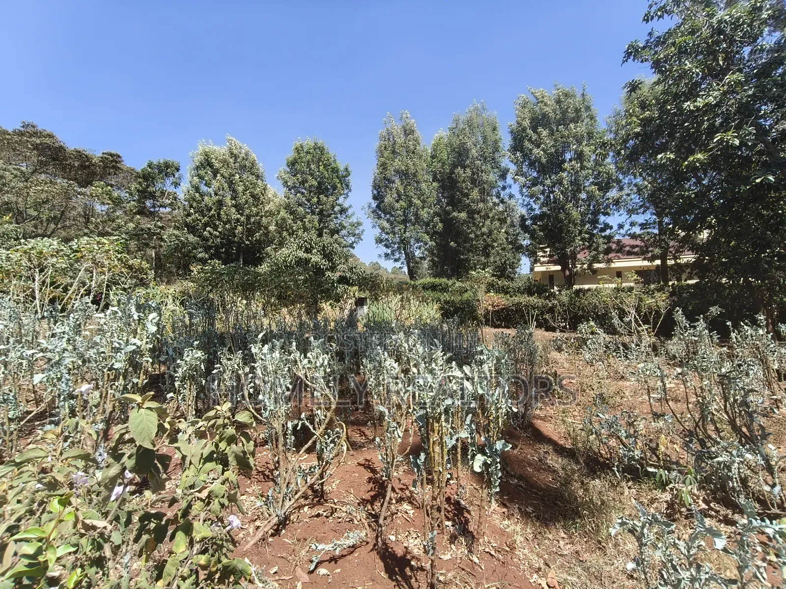Quarter Acre Corner Plot on Sale in Kerarapon Drive. Residential Land