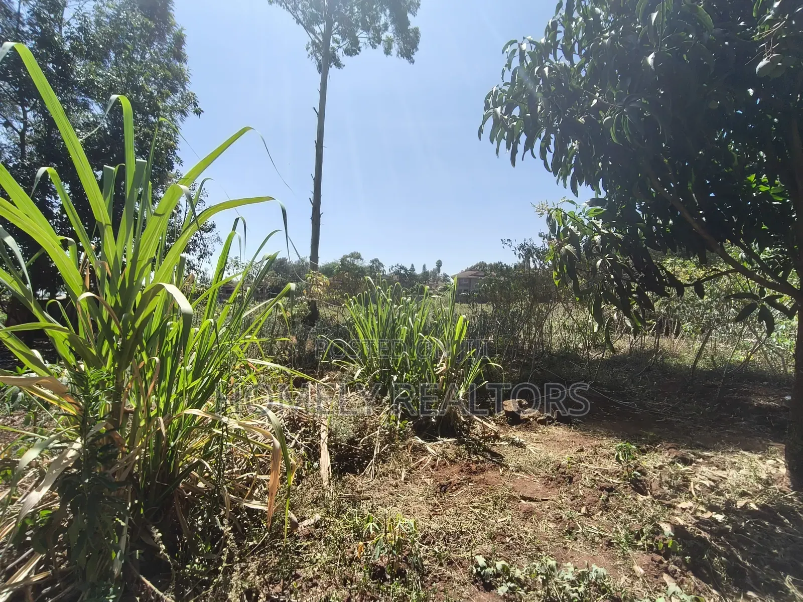 Residential Quarter Acre Plot for Sale in Kerarapon Drive, Ngong