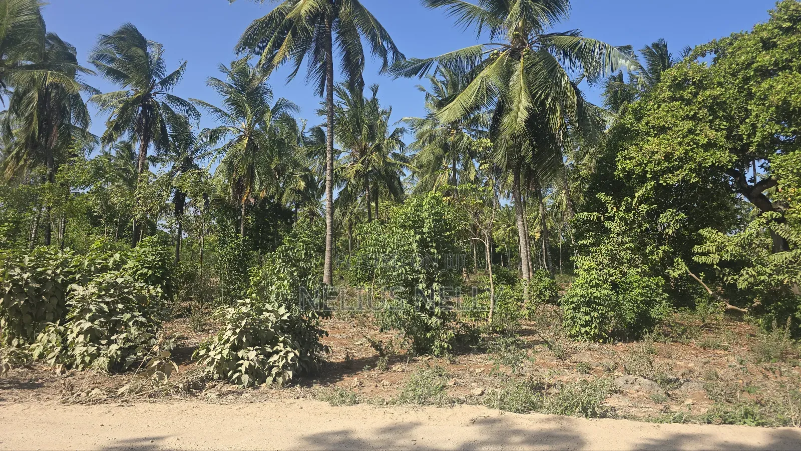 2acres for Sale Tezo Kilifi
