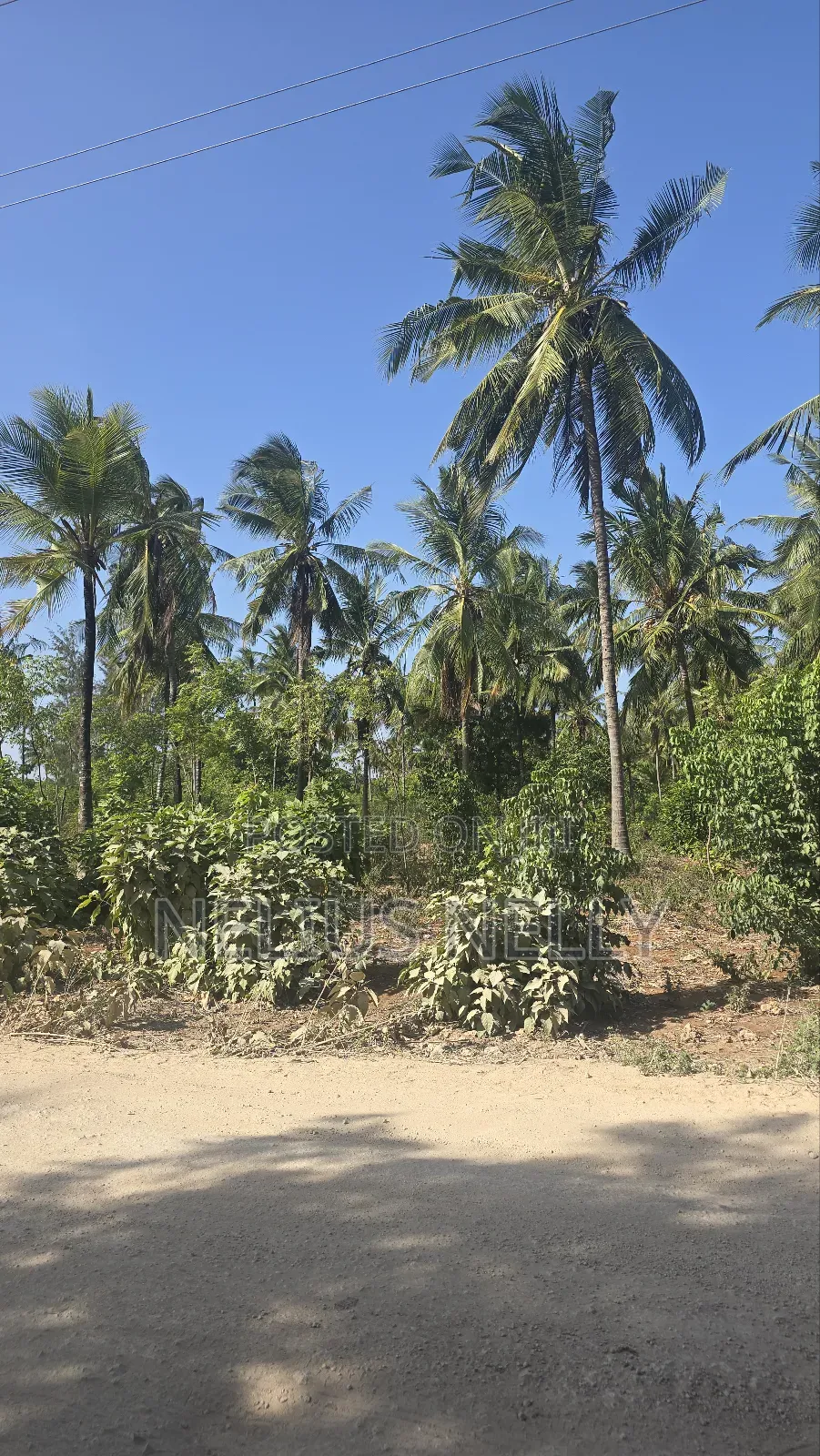 2acres for Sale Tezo Kilifi