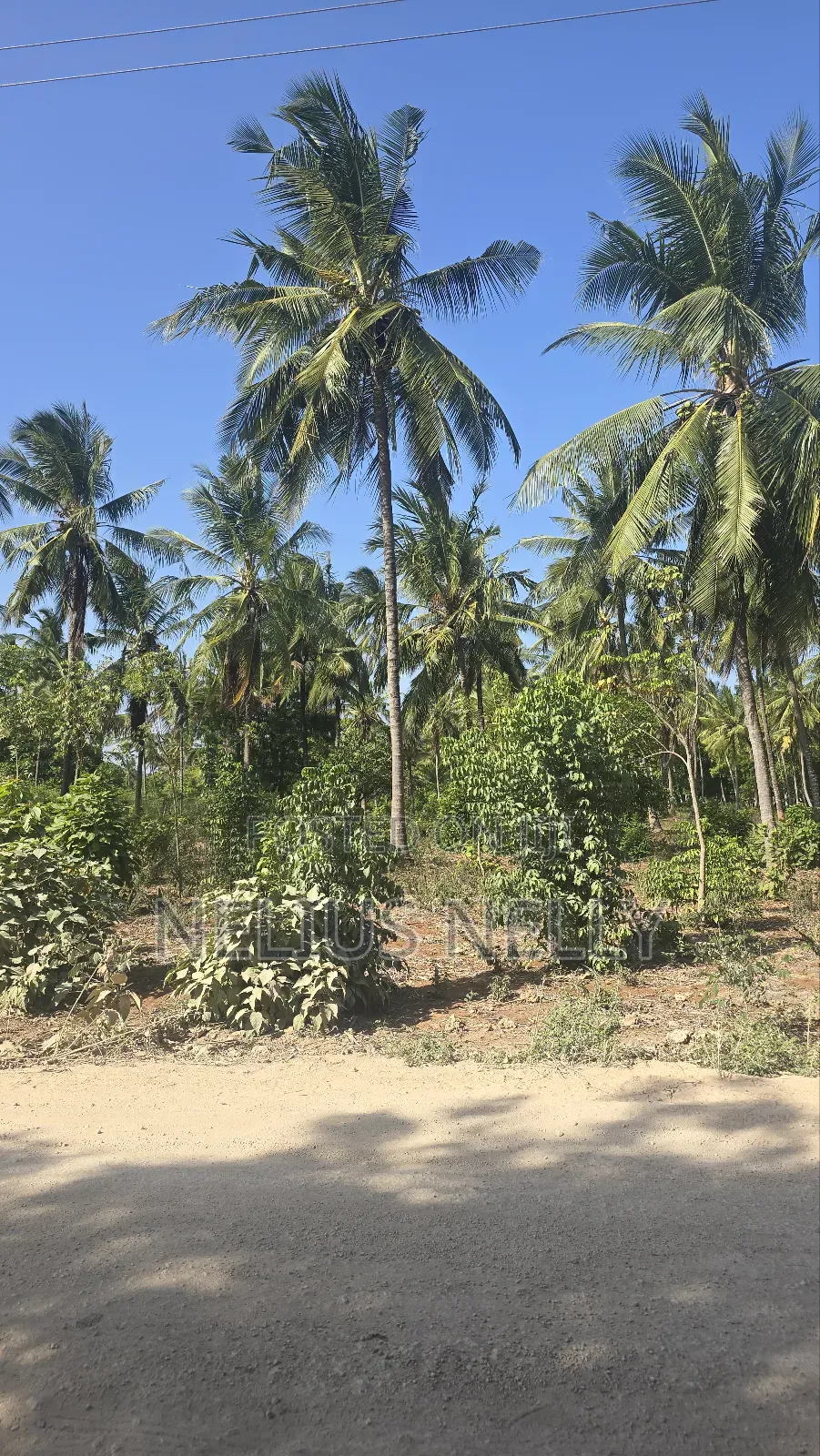 2acres for Sale Tezo Kilifi