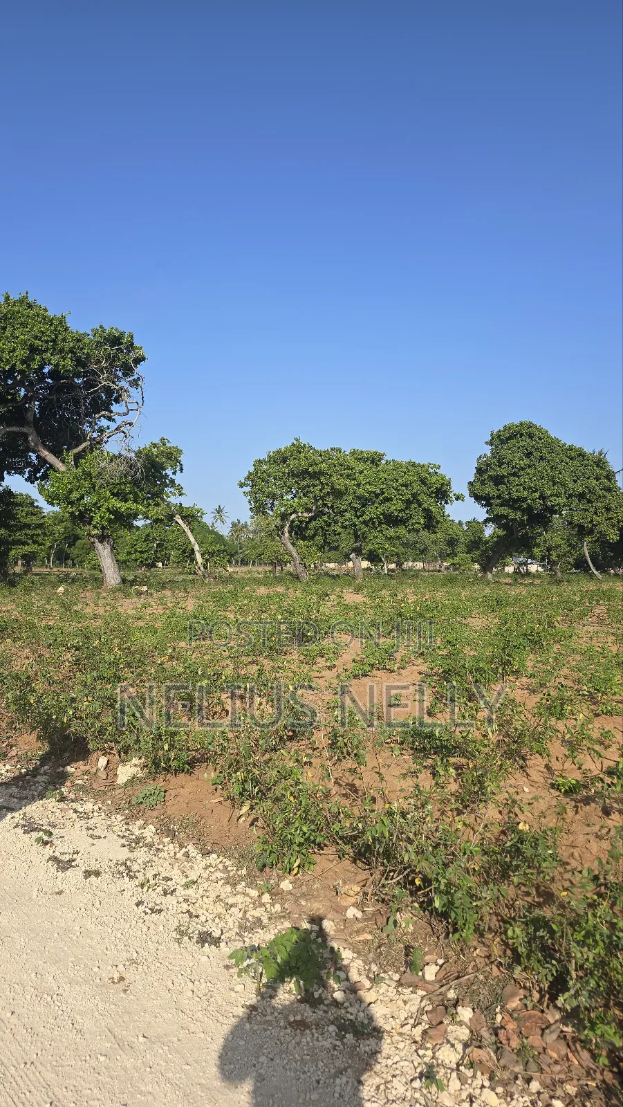 3.5acres for Sale Kituoni Kilifi Before Tezo Town
