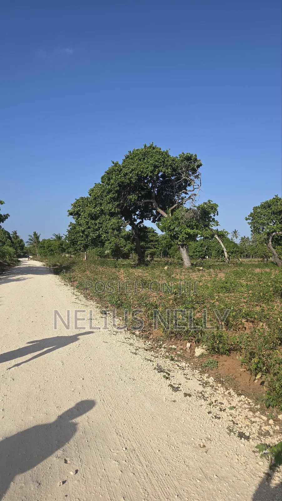 3.5acres for Sale Kituoni Kilifi Before Tezo Town