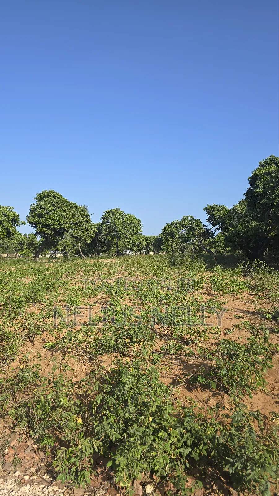 3.5acres for Sale Kituoni Kilifi Before Tezo Town