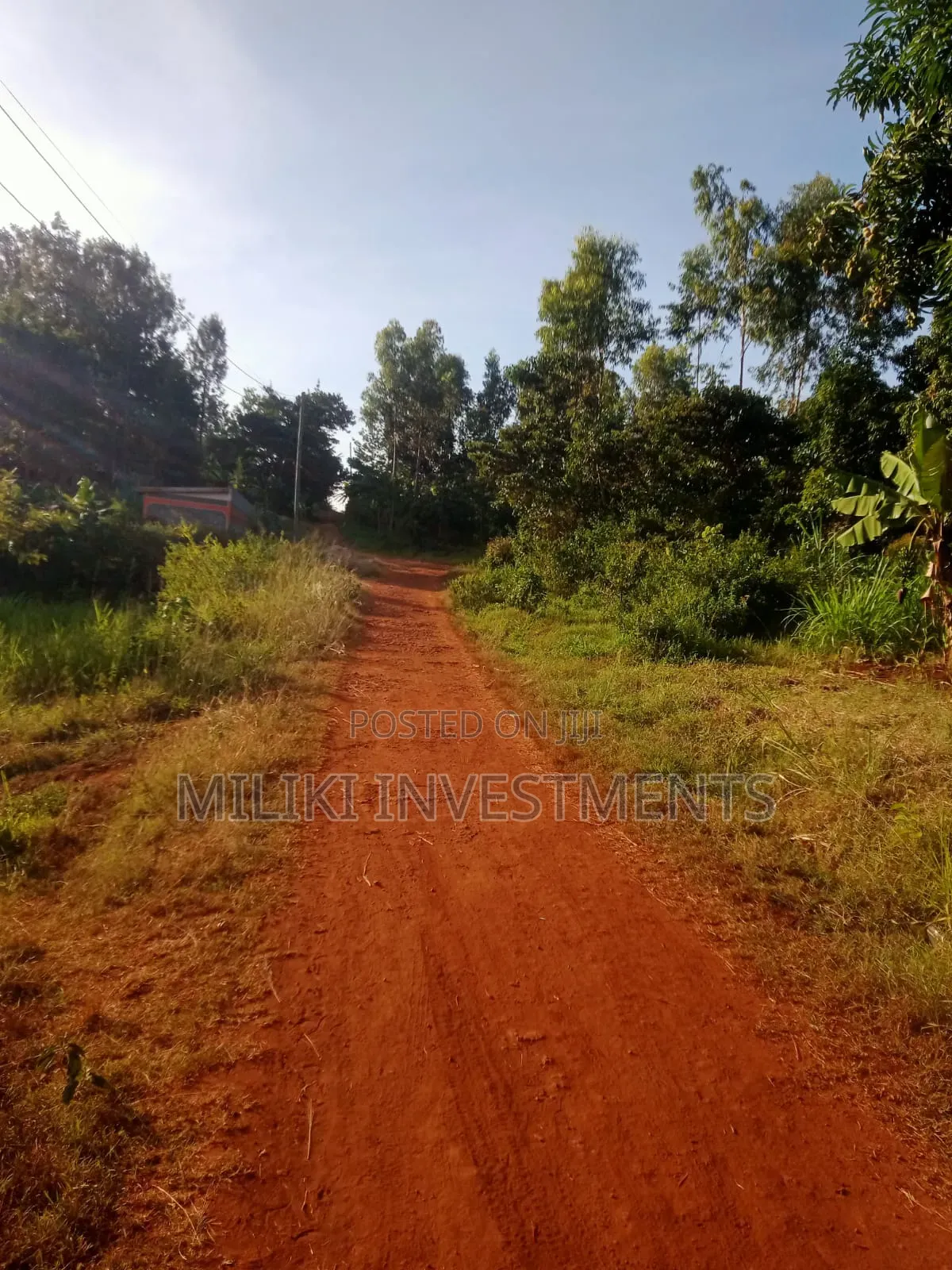 50 by 100 Plot on Sale at Maragi