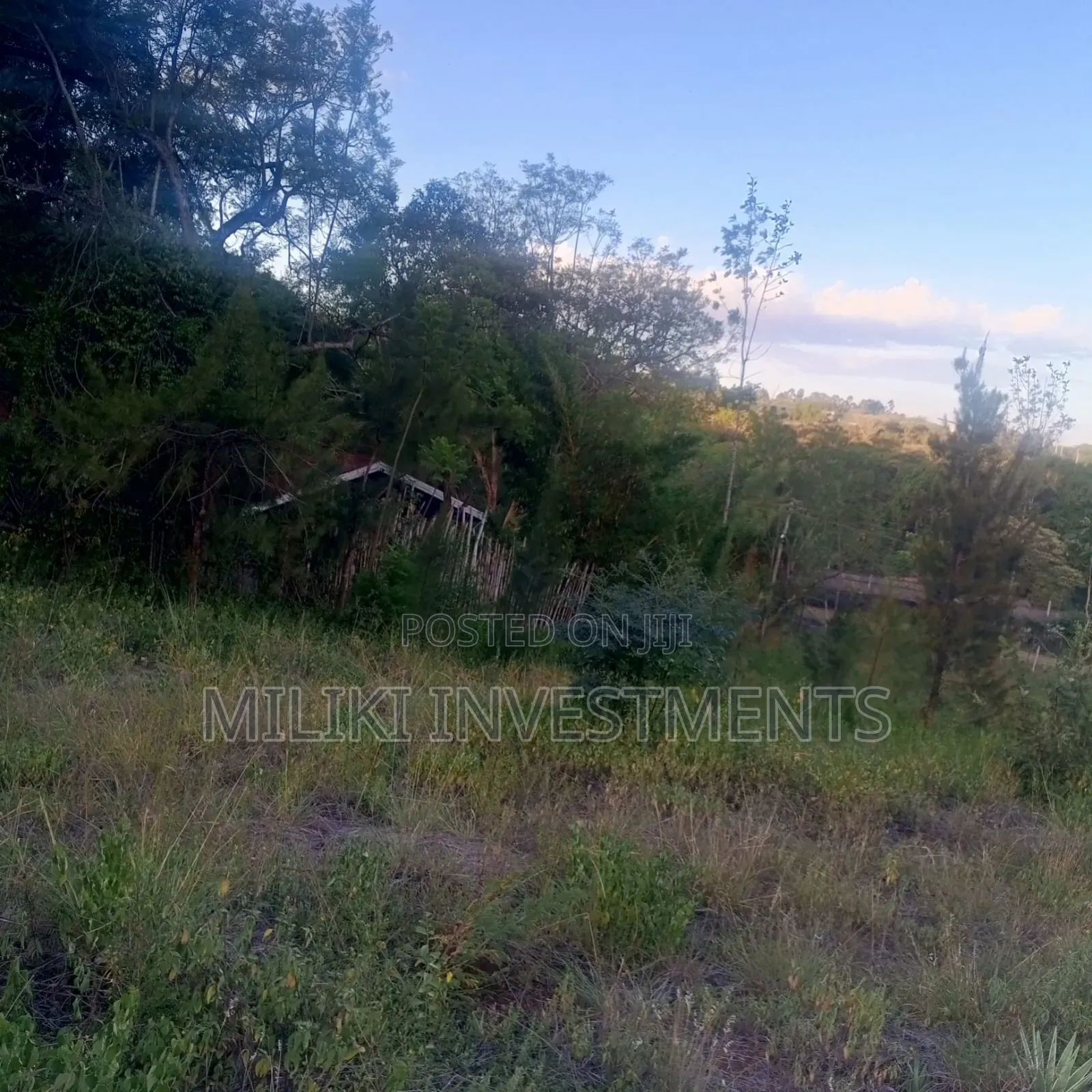 2.5 Commercial Land at Thika