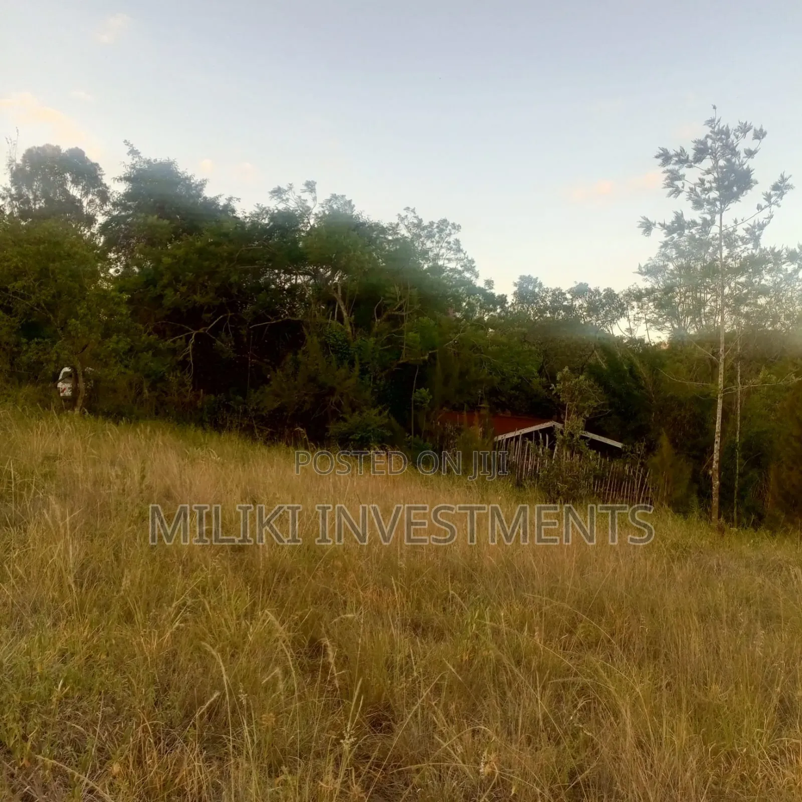 2.5 Commercial Land at Thika