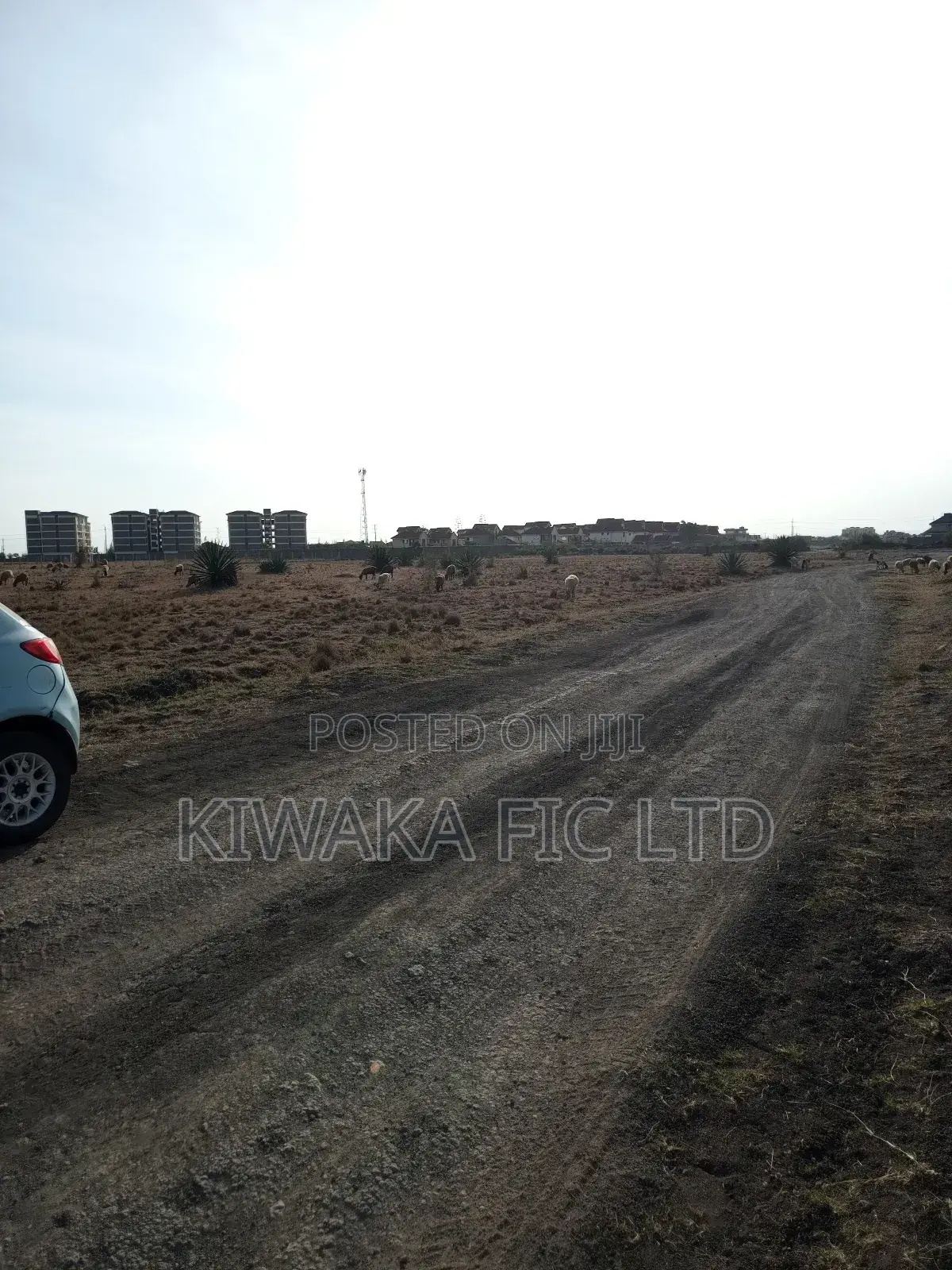 50×100 Plot for Sale in Juja