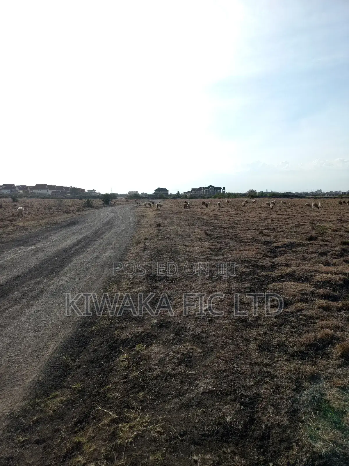 50×100 Plot for Sale in Juja