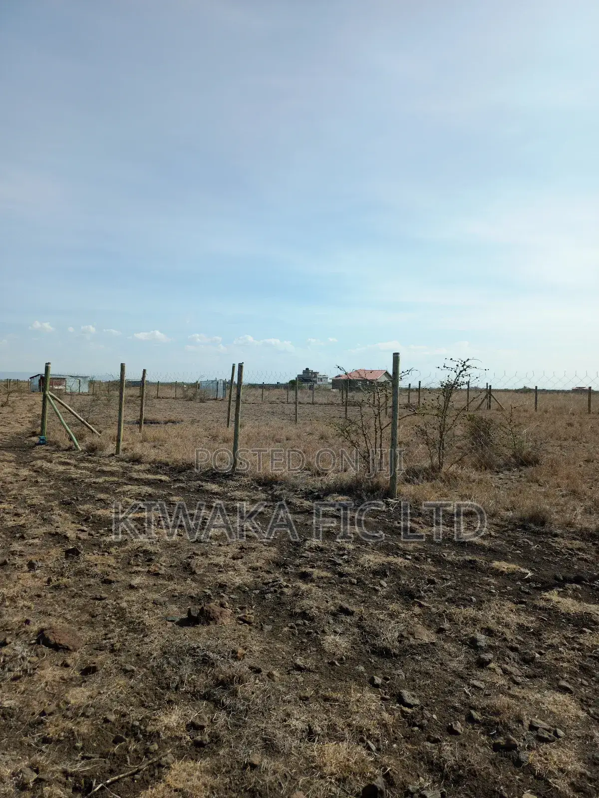 50×100 Plots for Sale in Mwalimu Farm