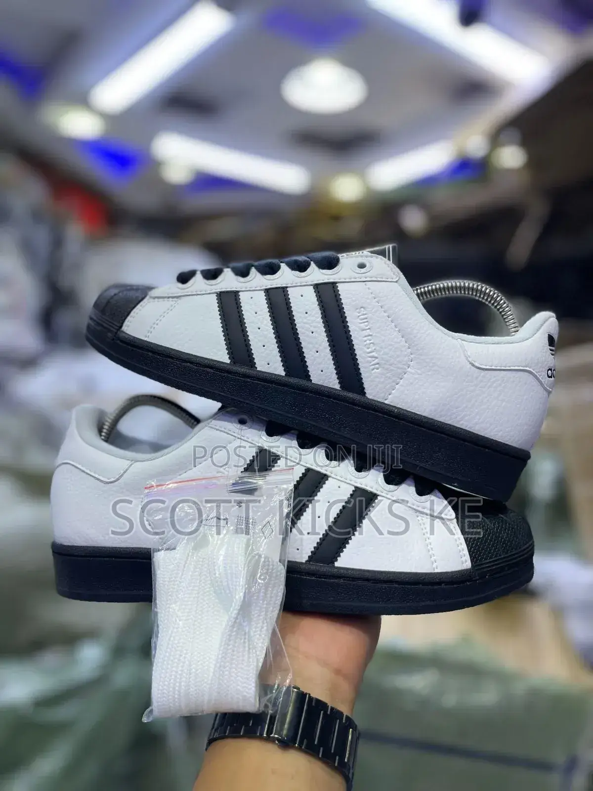Adidas Superstar Shell Toe