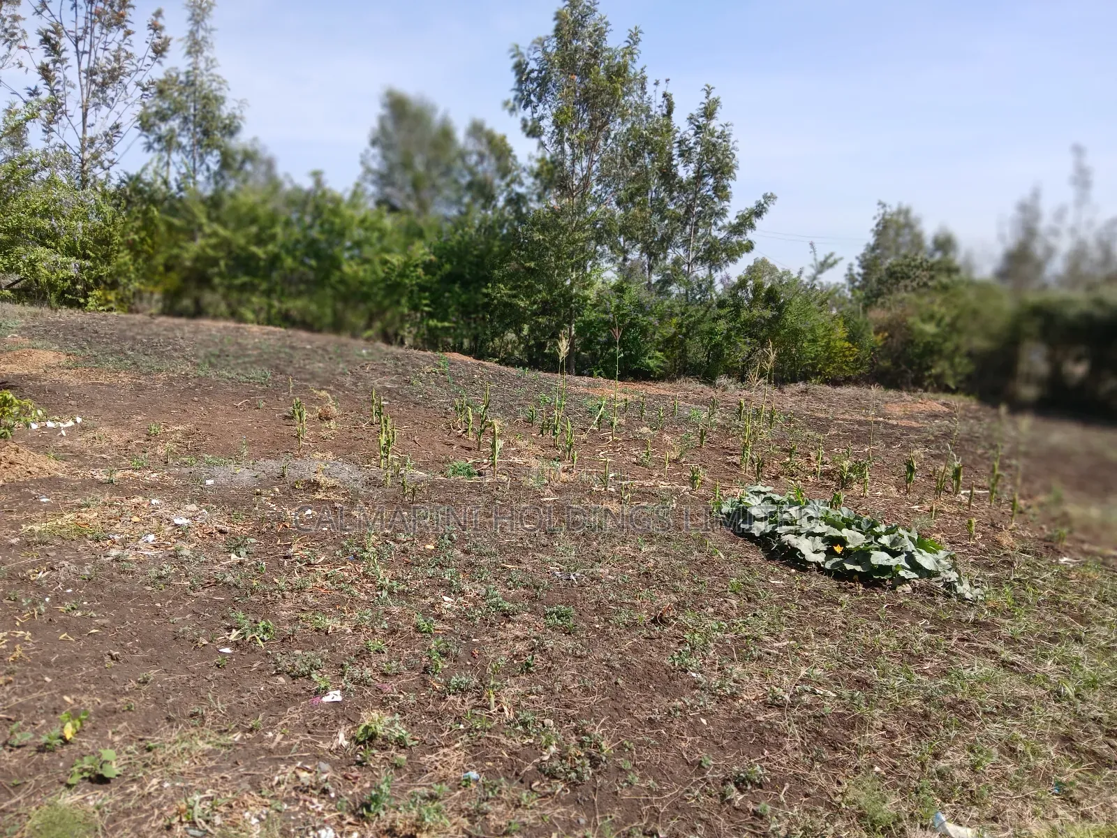 Quick Deal!! 1/8 Acre Plot in Kahuho, Rongai for Only Kes 2m