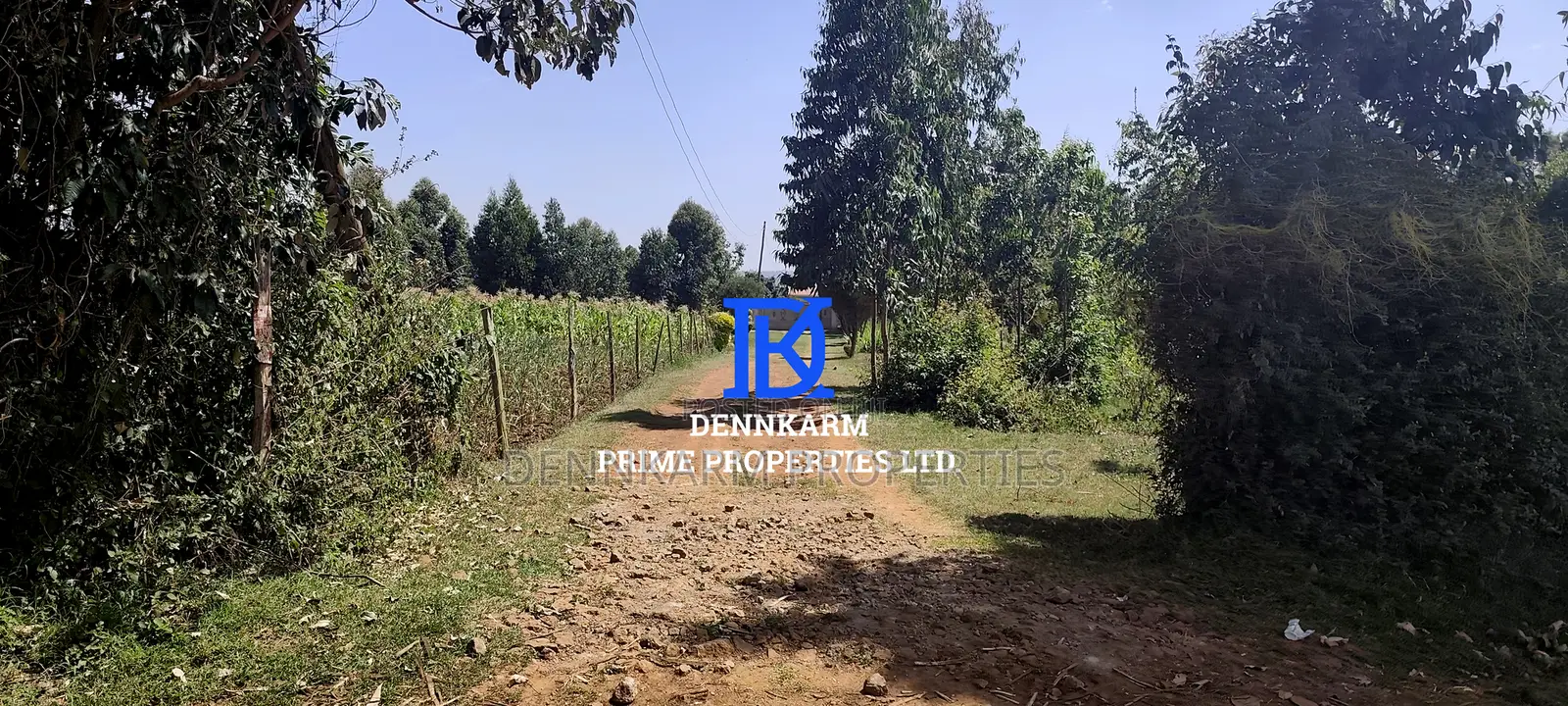 Distress Sale – Plot in Kikuyu, Ondiri