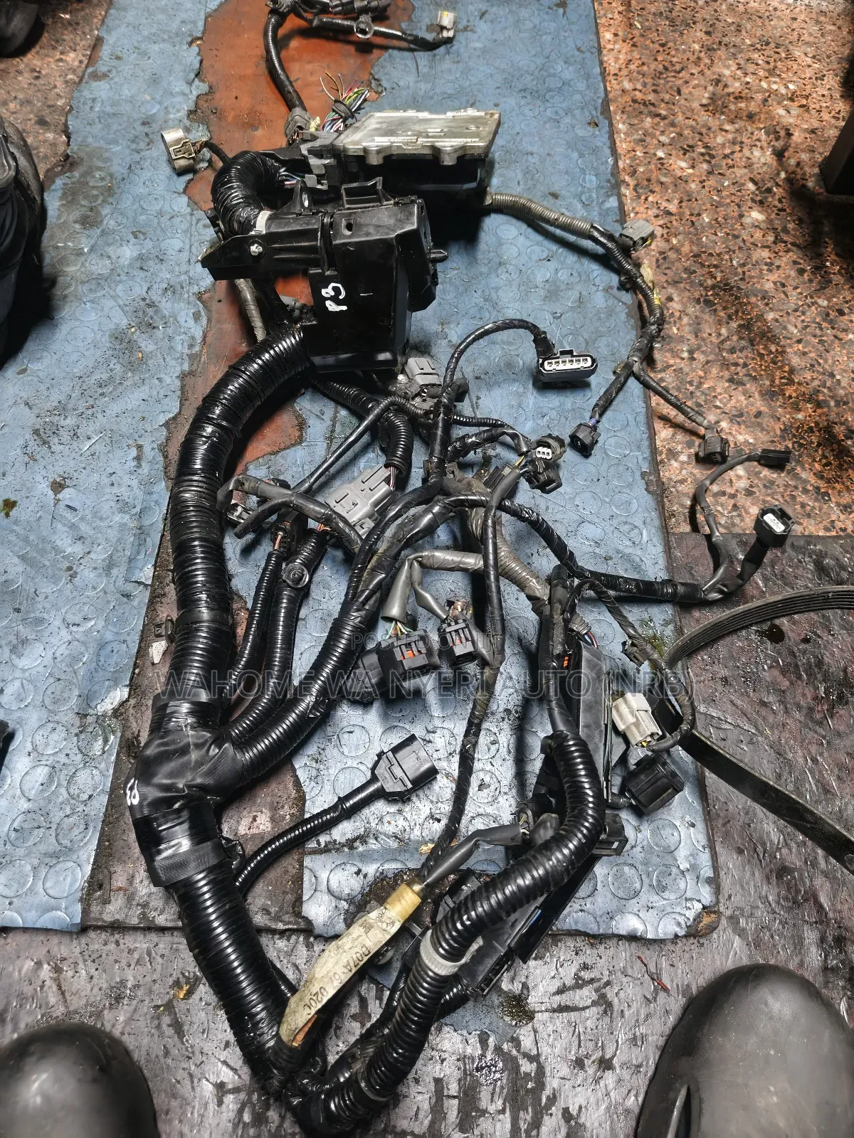 Harness For Mazda Demio P3